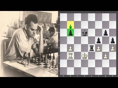 Шахматный учебник онлайн: как играть ладейный эндшпиль