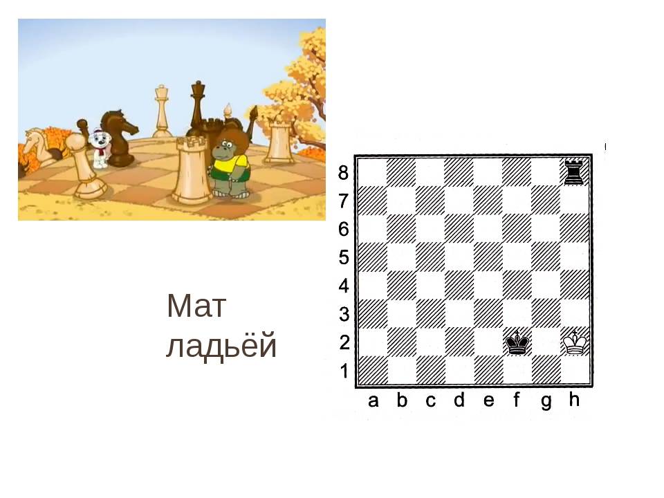 Мат в шахматах для начинающих