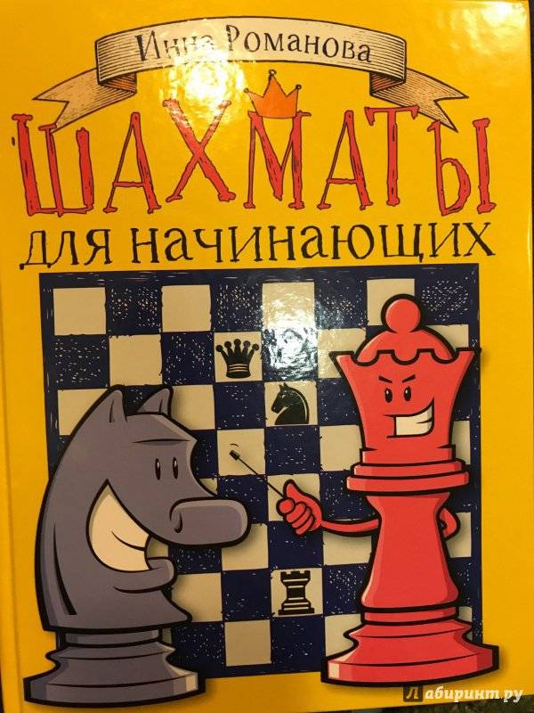 Александра костенюк — биография, личная жизнь, фото, новости, шахматы, кубок мира, «инстаграм», школа 2021 - 24сми
