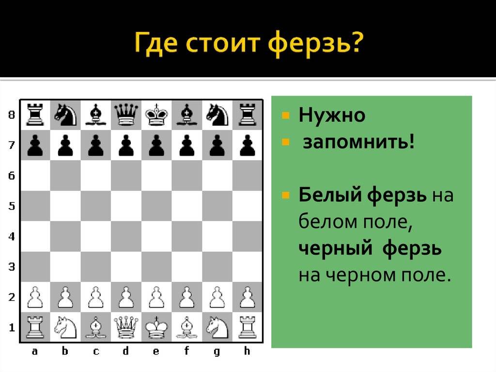 Где стоит король в шахматах
