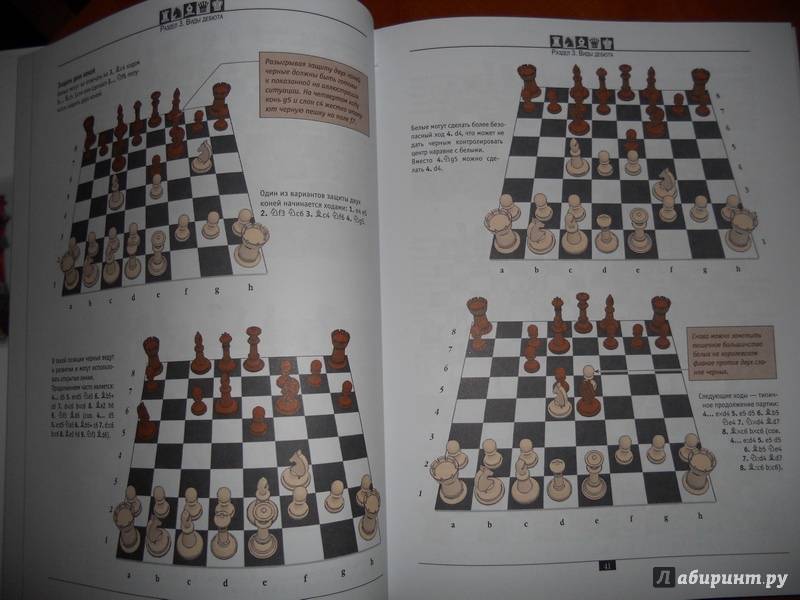 Азы шахмат в учебнике Виктора Березина для начинающих