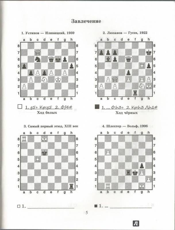 Выигрышные тактики в шахматах. стратегия и тактика в шахматах