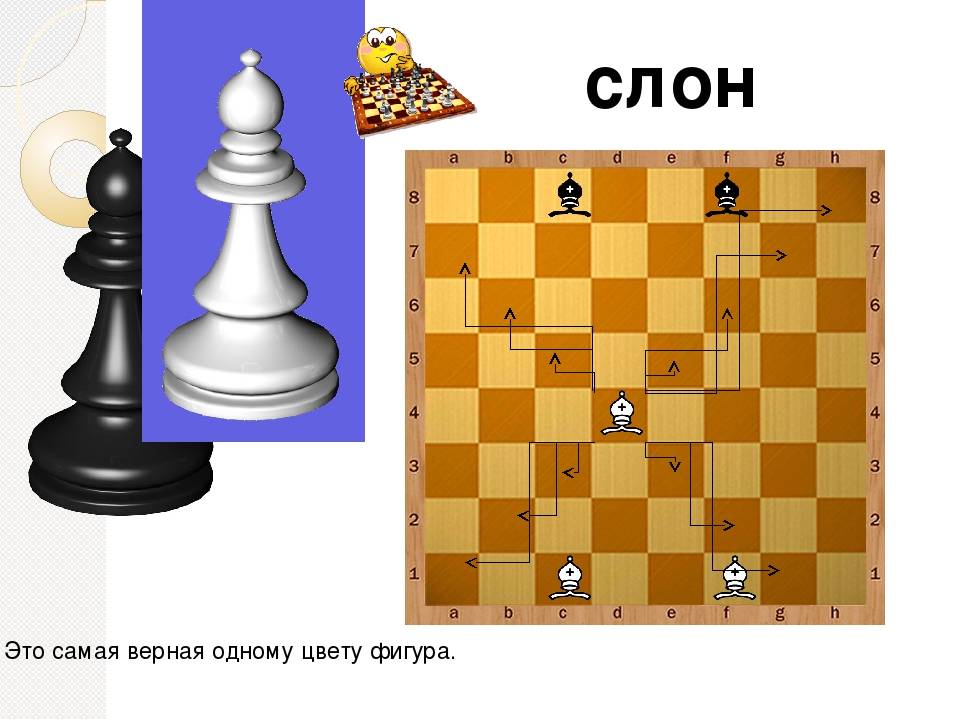 Как ходит и бьёт конь в шахматах