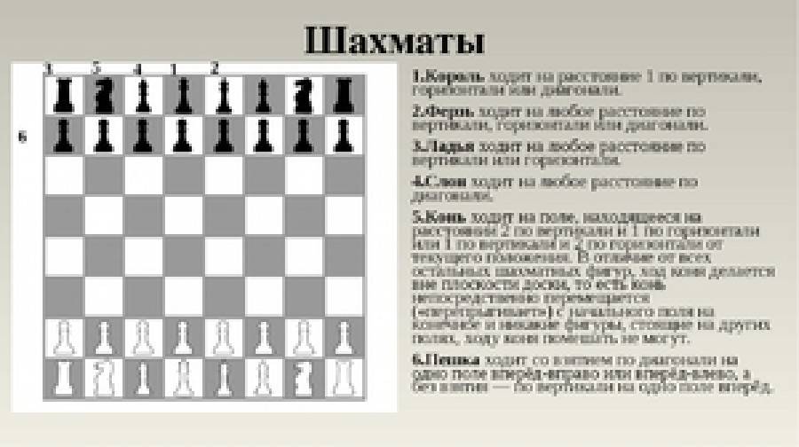 Расстановка шахмат – от пешки до короля :: syl.ru