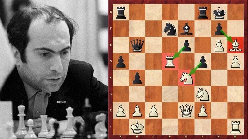 Ульф андерссон | биография шахматиста, партии, фото, видео