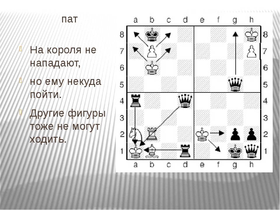 Пат — что такое, проигрыш или ничья? виды пата в шахматах
