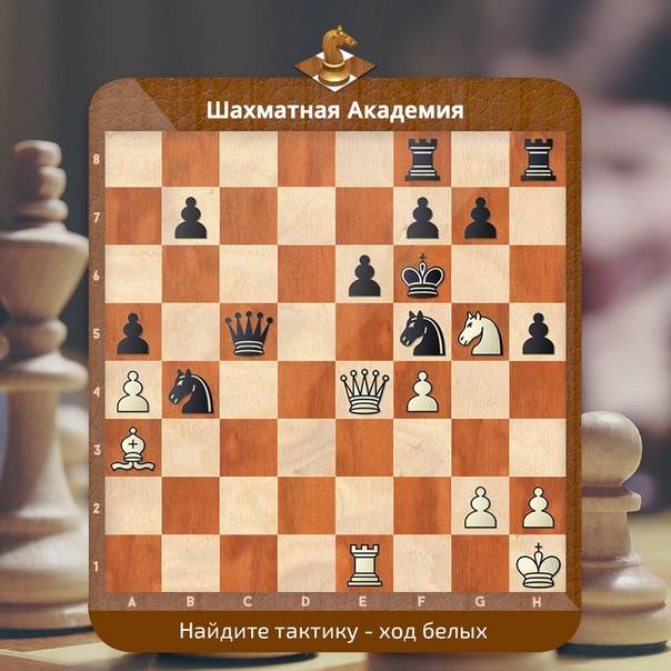 Что такое защита Петрова в шахматах?