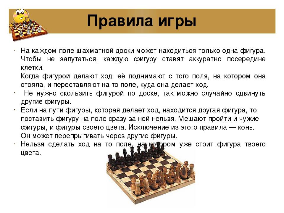 Play chess online for free - chess.org