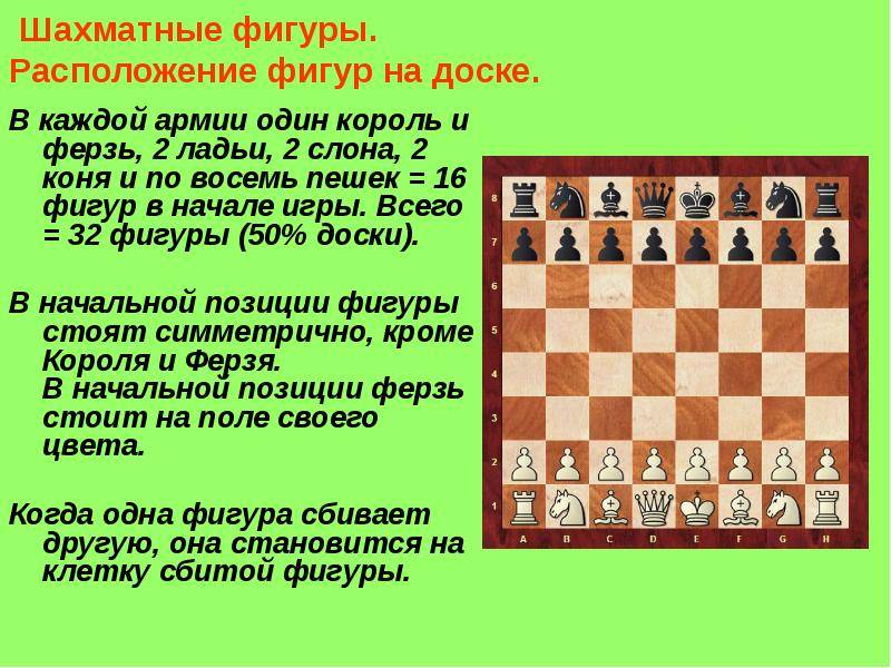 Начало шахматной партии | как начинать игру в шахматы правильно