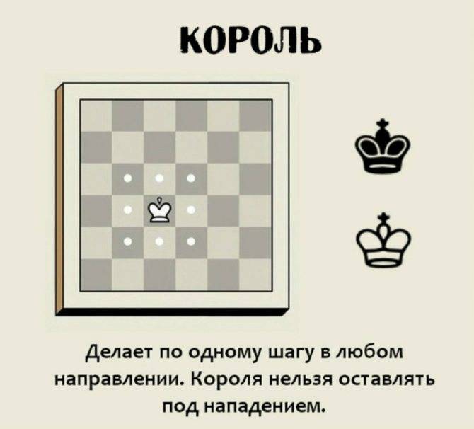 Как научиться играть в шахматы: обучение игре в шахматы для начинающих с нуля