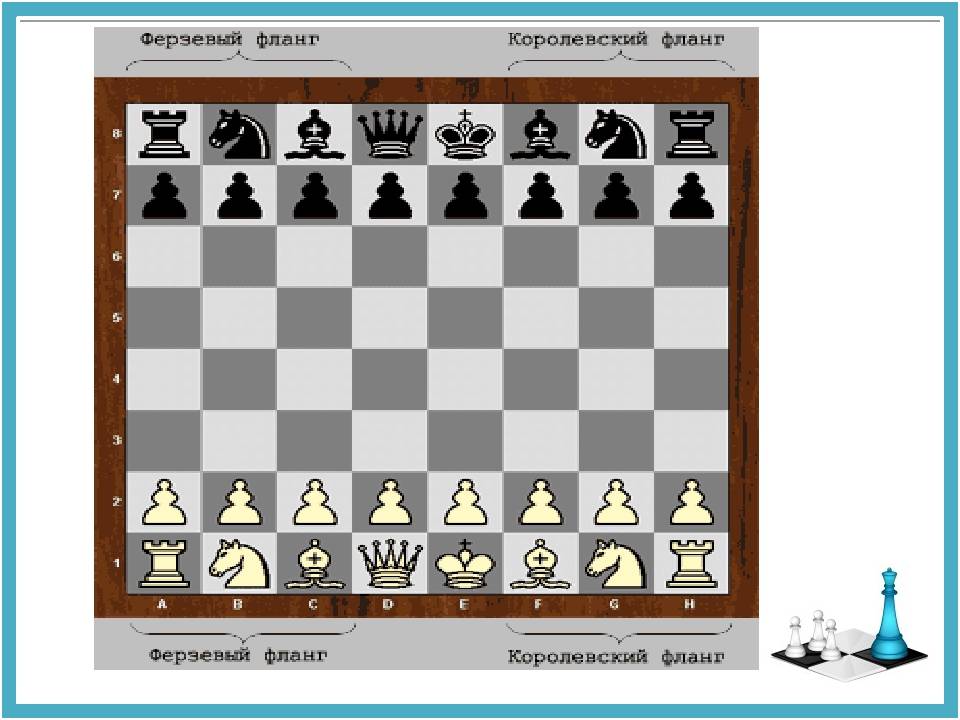 Виды игры в шахматы и их правила