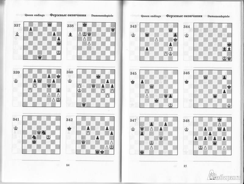 Шахматные задачи для начинающих с ответами и решениями