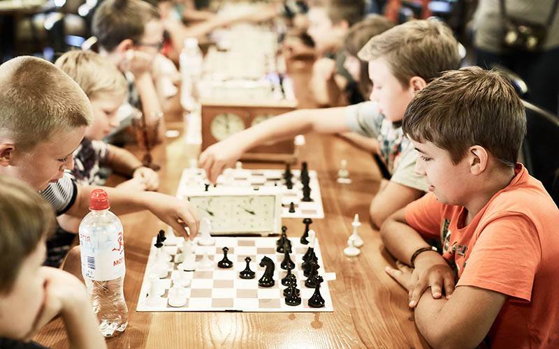 Шахматы в образовании / skillbox media