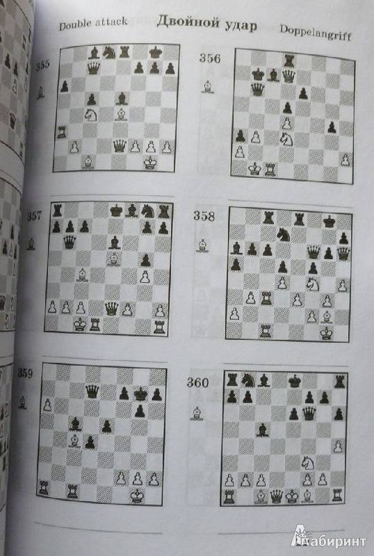 Расстановка фигур на шахматной доске — как правильно?