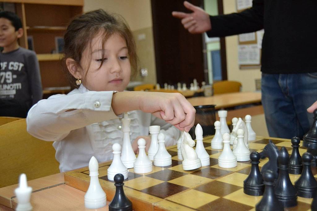 Как зарабатывать на желании родителей сделать своих детей умными? опыт открытия детской шахматной школы