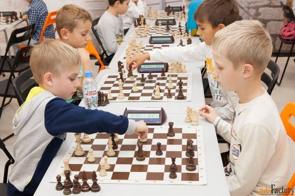 Шахматы – польза, вред и влияние на детское развитие