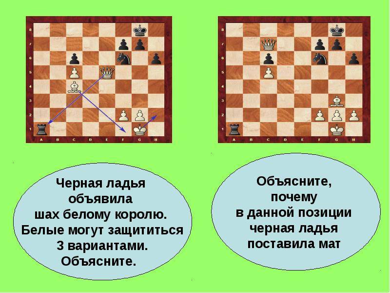 Вечный шах в шахматах | что такое и примеры в партиях