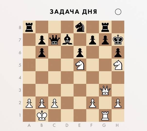 Королевский гамбит в шахматах