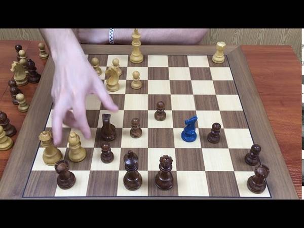 Дебют Рети в шахматах: набирающий популярность