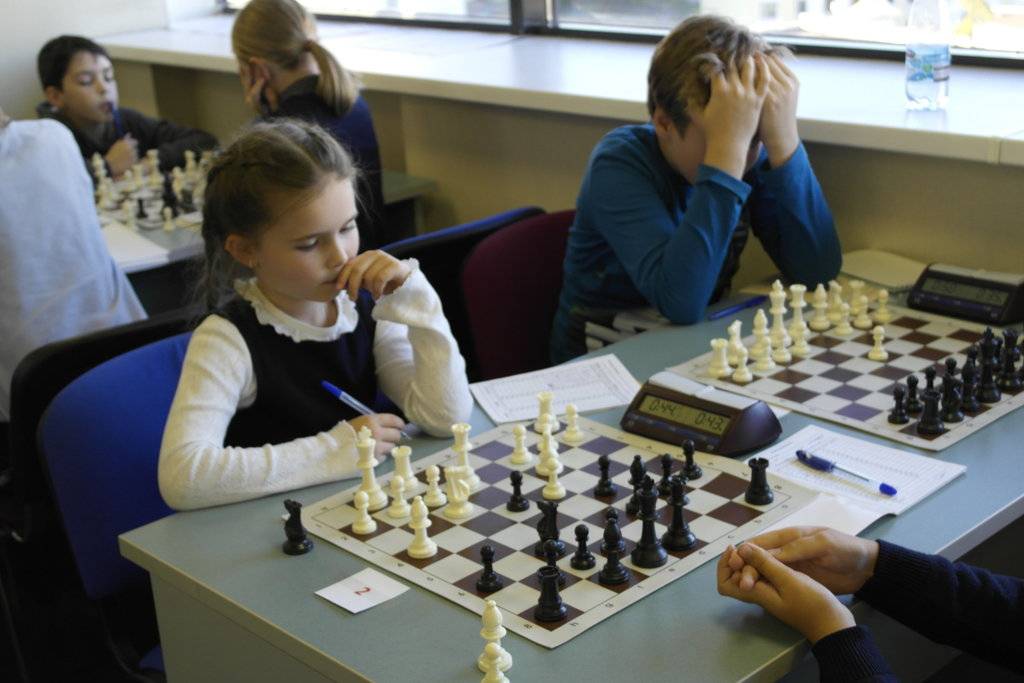 Программы подготовки шахматистов | с нуля до мастера fide