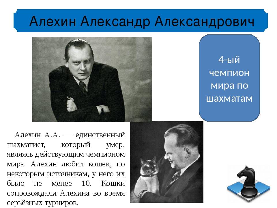 Александр онищук | биография шахматиста, партии, фото, рейтинг