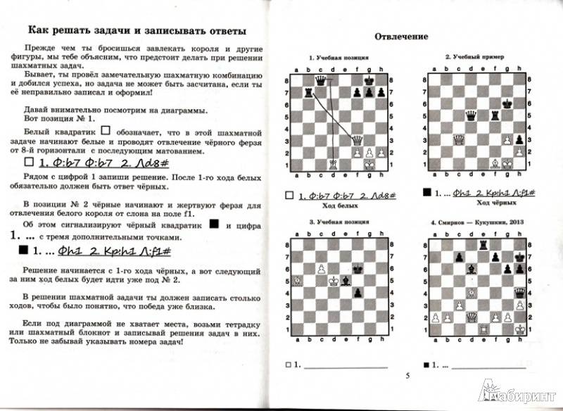 Подготовка к шахматным турнирам - советы гроссмейстера
