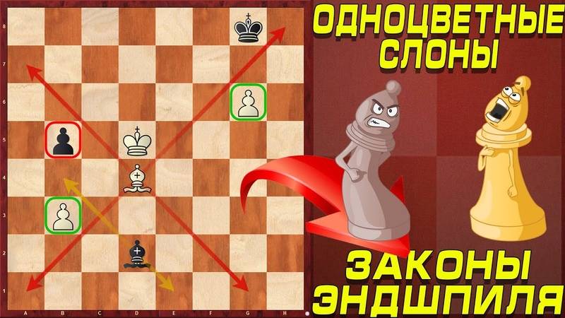 Уроки шахмат для начинающих: бесплатные видео для домашнего обучения - все курсы онлайн