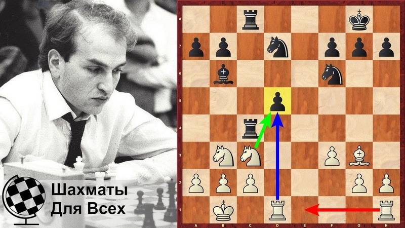 Василий иванчук | биография шахматиста, партии, фото