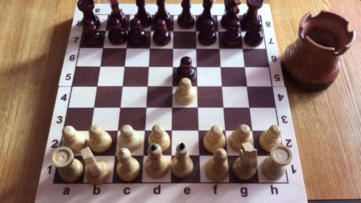 Шахматные дебюты