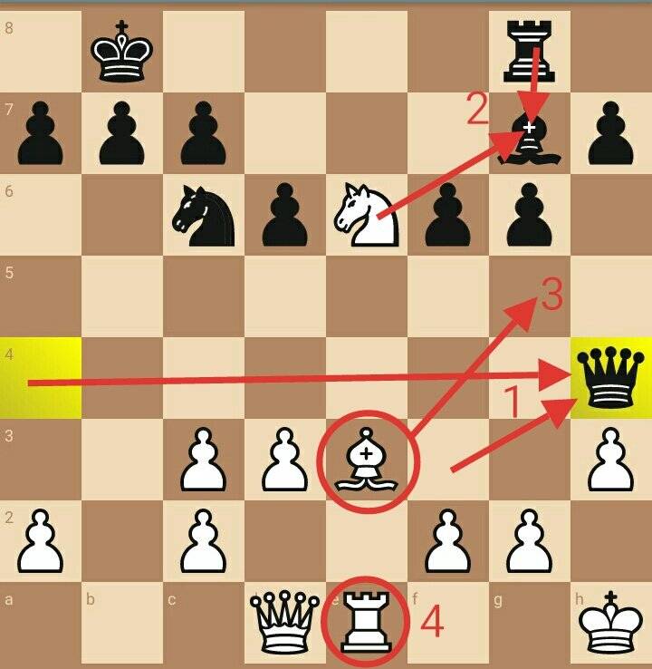 Как начинать шахматную партию