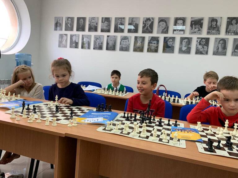 Шахматные школы Волгограда: где, какие и как выбрать?