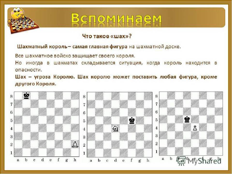 Линейный мат двумя ладьями. 16-ый шахматный урок. - детско-юношеская комиссия санкт-петербургской шахматной федерации