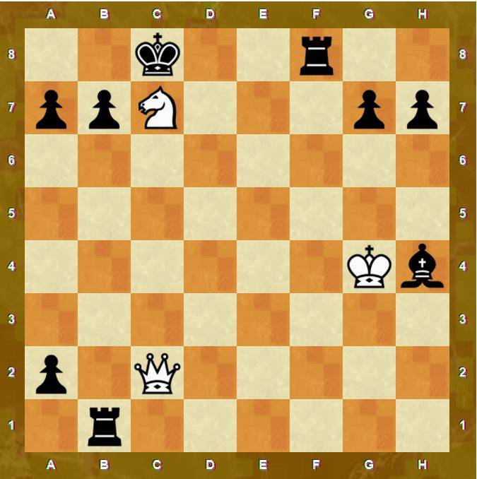 Крепость в шахматах: примеры в этюдах и на практике