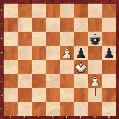 Что такое цугцванг? значение слова. что такое цугцванг в шахматах?