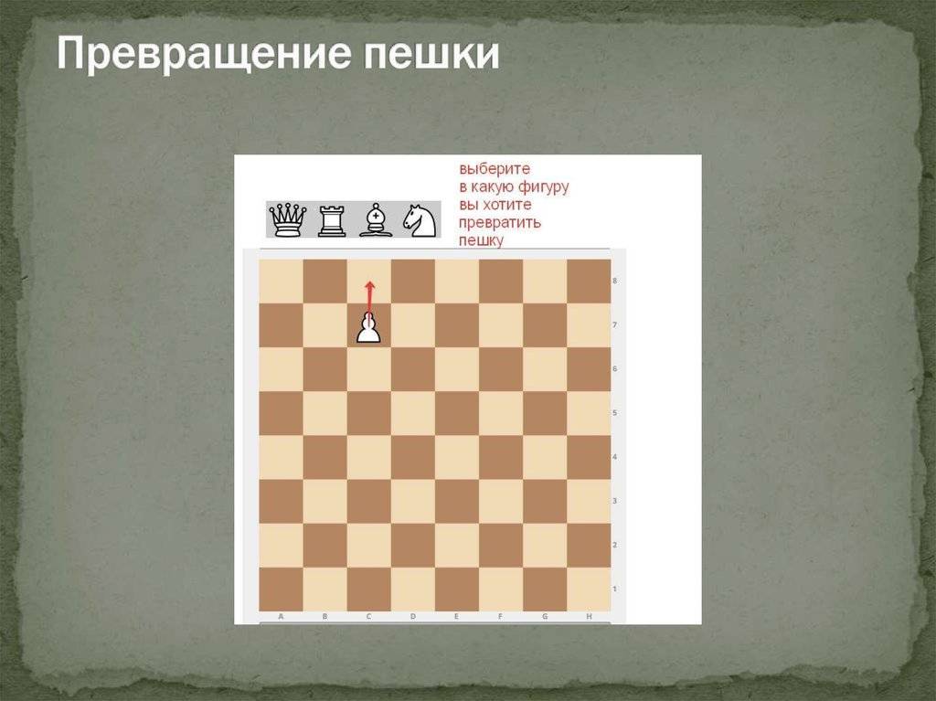 Публикация  	 |
 100-клеточные шахматы | журнал «спорт в школе» № 8/2008