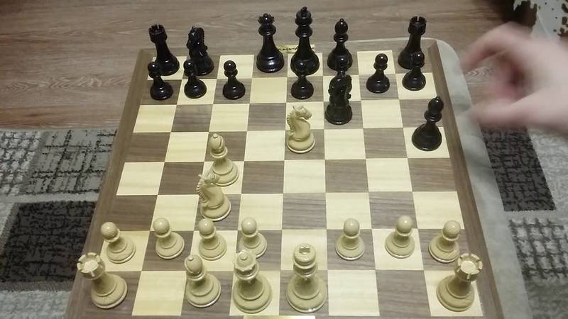 Венская партия в шахматах - ловушки в дебюте за белых, черных