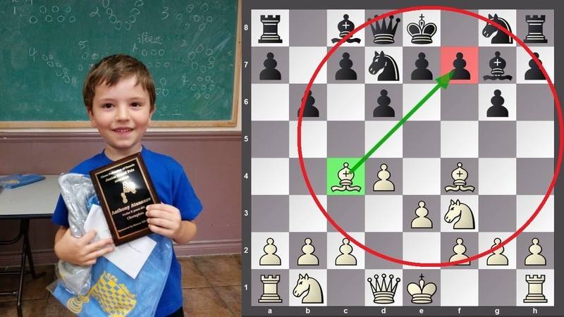 Секреты практических шахмат (джон нанн)