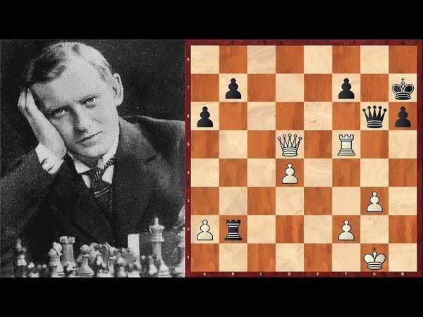 Александр онищук | биография шахматиста, партии, фото, рейтинг