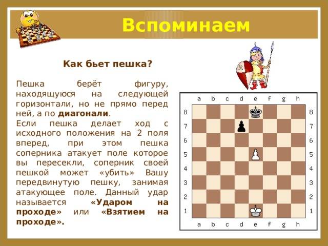 16 интересных фактов о шахматах