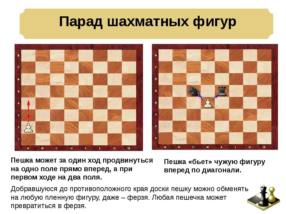 Пешка | энциклопедия шахмат | fandom