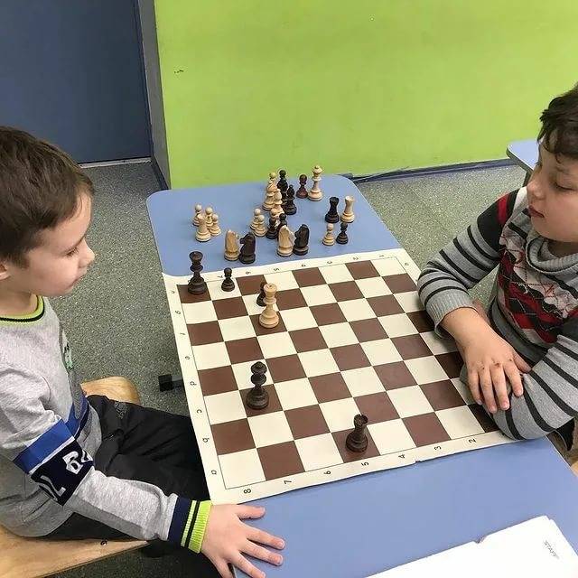 Шахматные школы Волгограда: где, какие и как выбрать?