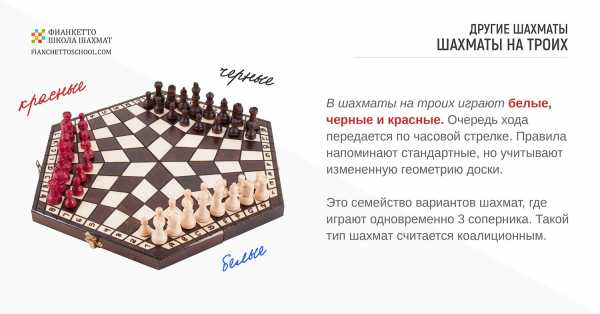 Ставки на шахматы: советы по стратегии и системе — как выигрывать чаще?