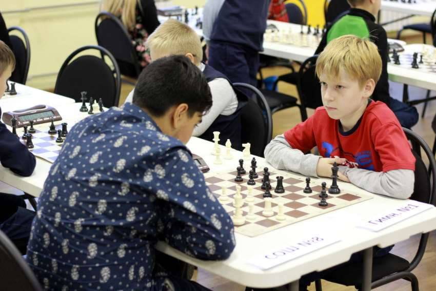 "белая ладья": подлог за подлогом | chess-news.ru