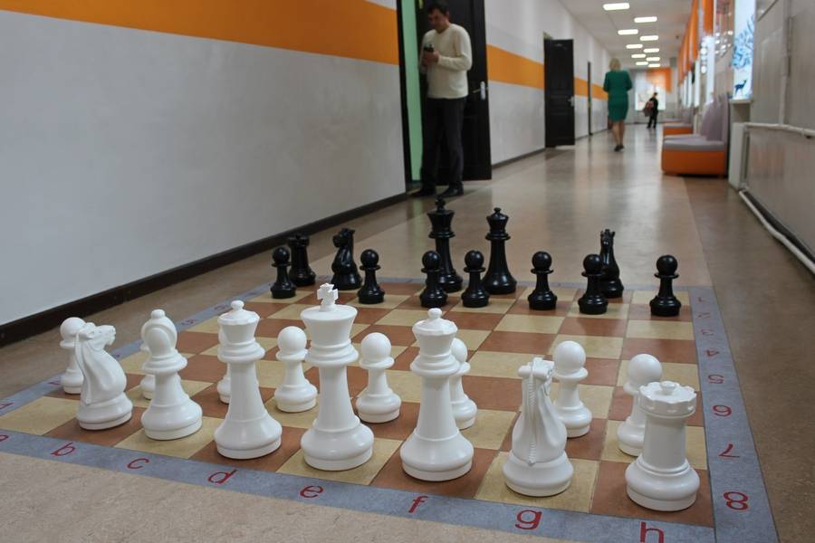 Обучение игре в шахматы для взрослых — в краснодаре и онлайн