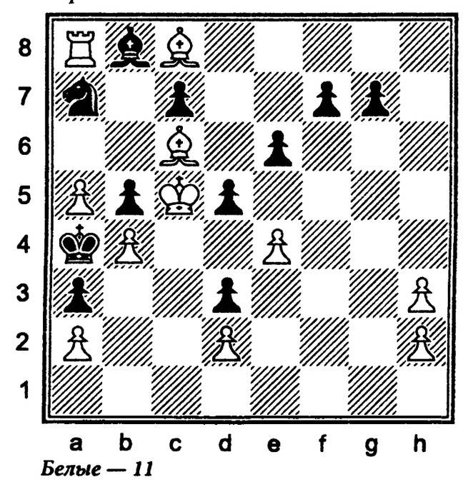 Тай-брейк в шахматах - что такое, правила, стратегия и тактика игры