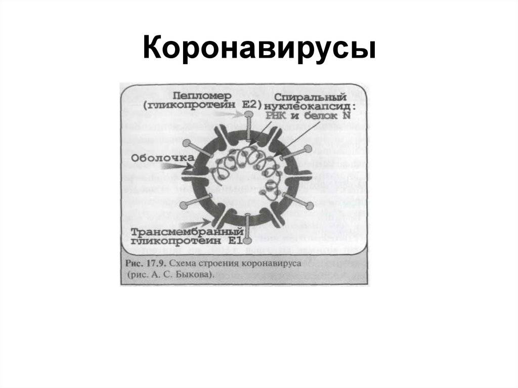 Россия – коронавирус сегодня, статистика заражений, карта. коронавирус в россия