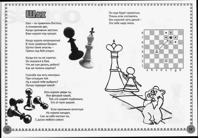 Стихи про шахматы - сборник красивых стихов в доме солнца