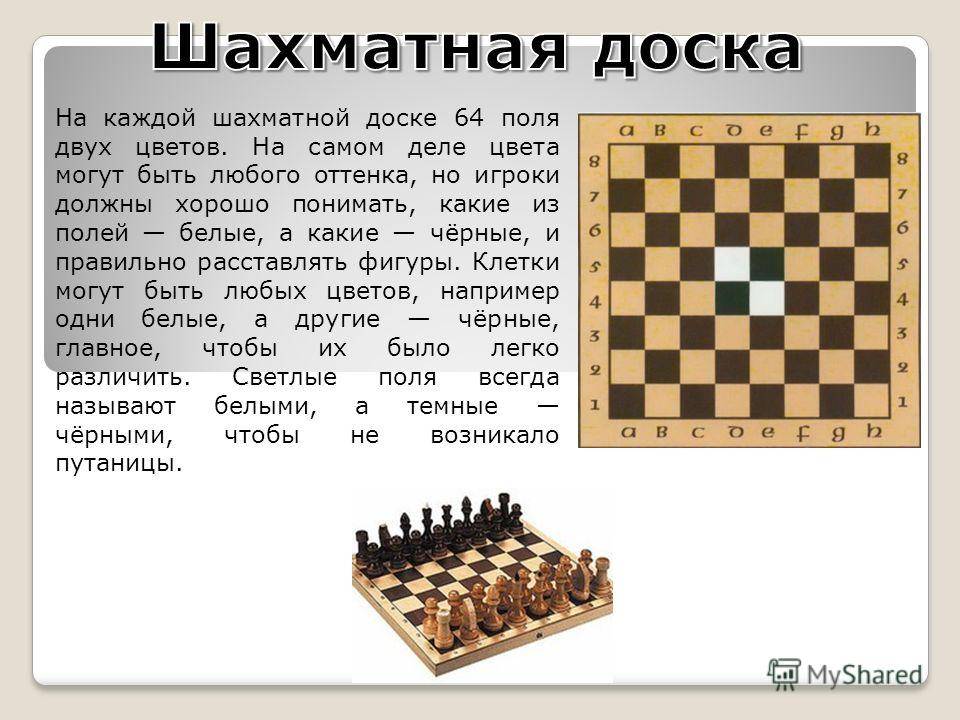 Презентация про шашки