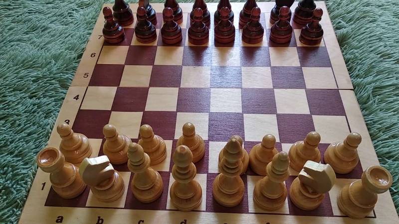 Лучшие шахматные программы: обучающие тренажеры для начинающих - мтс/медиа