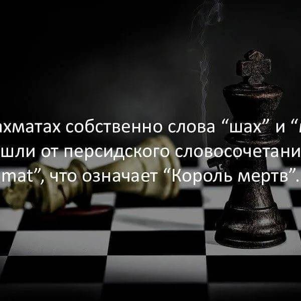 Цитаты о шахматах великих шахматистов
